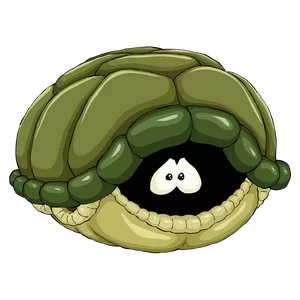 thetametortoise